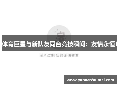 体育巨星与新队友同台竞技瞬间：友情永恒！